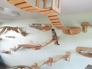 мебель для кошек